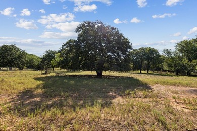 22 acres of pure Texas, and it's hiding in plain sight. Tucked - photo 20