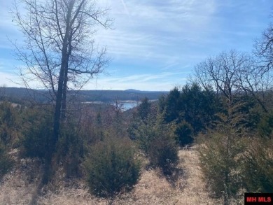 Year round lake view with clearing. - Lake Acreage For Sale in Mountain Home, Arkansas
