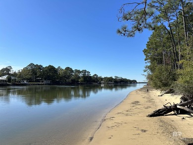 (private lake, pond, coastal) Lot For Sale in Gulf Shores Alabama