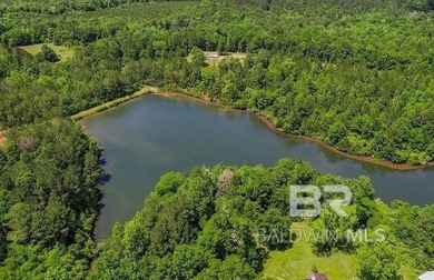 (private lake, pond, coastal) Acreage For Sale in Evergreen Alabama