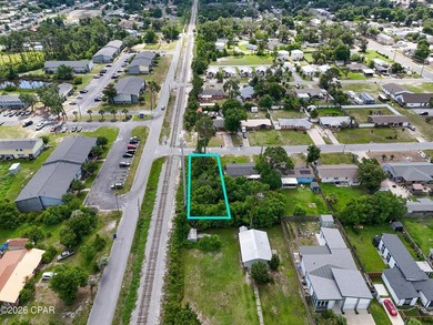 Looking for an affordable residential lot in the heart of Panama - photo 1