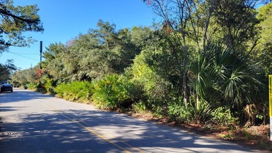 1.25 acres located in beautiful Inlet Beach just east of - photo 11