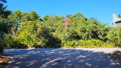 1.25 acres located in beautiful Inlet Beach just east of - photo 12