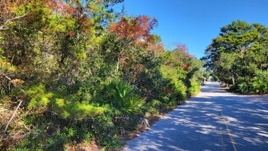 1.25 acres located in beautiful Inlet Beach just east of - photo 13