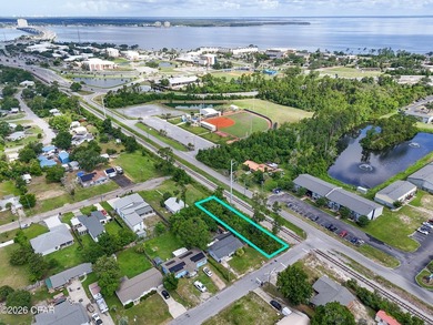 Looking for an affordable residential lot in the heart of Panama - photo 4