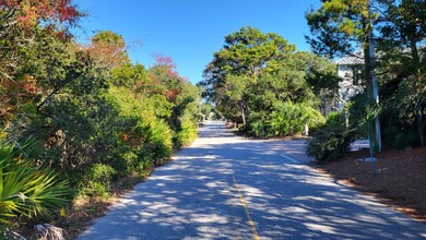1.25 acres located in beautiful Inlet Beach just east of - photo 14