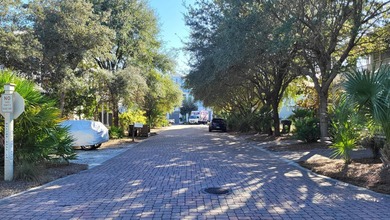 1.25 acres located in beautiful Inlet Beach just east of - photo 15