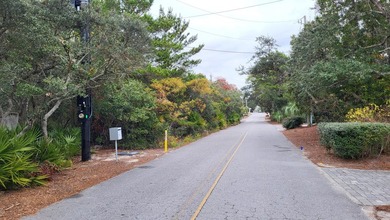 1.25 acres located in beautiful Inlet Beach just east of - photo 17