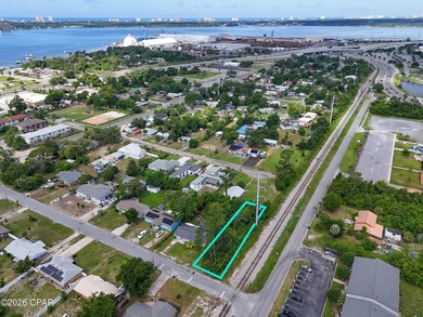 Looking for an affordable residential lot in the heart of Panama - photo 8