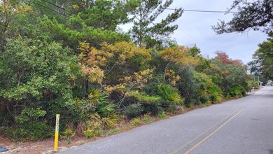 1.25 acres located in beautiful Inlet Beach just east of - photo 18