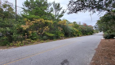 1.25 acres located in beautiful Inlet Beach just east of - photo 19