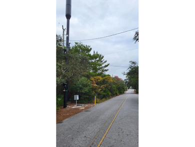 1.25 acres located in beautiful Inlet Beach just east of - photo 20