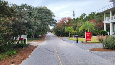 1.25 acres located in beautiful Inlet Beach just east of - photo 21