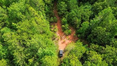 80+/- acres of thick, game-rich hardwoods and pines fronting Hwy - photo 2