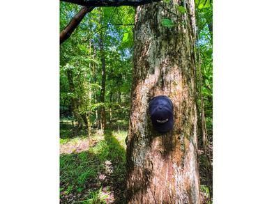 80+/- acres of thick, game-rich hardwoods and pines fronting Hwy - photo 3