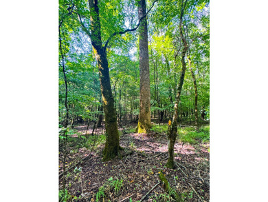 80+/- acres of thick, game-rich hardwoods and pines fronting Hwy - photo 4
