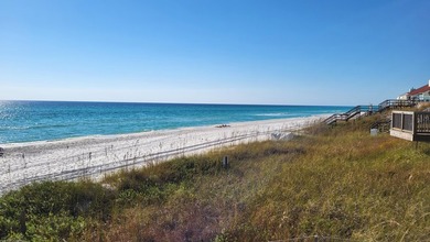 1.25 acres located in beautiful Inlet Beach just east of - photo 25