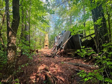 80+/- acres of thick, game-rich hardwoods and pines fronting Hwy - photo 5