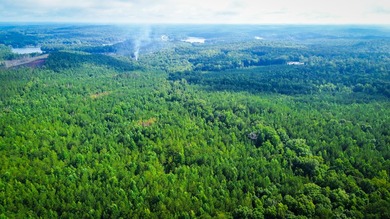 80+/- acres of thick, game-rich hardwoods and pines fronting Hwy - photo 6