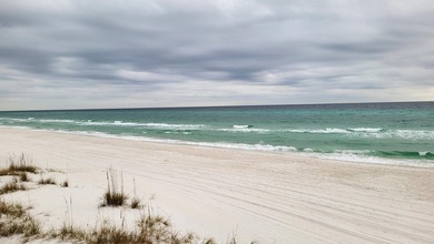 1.25 acres located in beautiful Inlet Beach just east of - photo 35