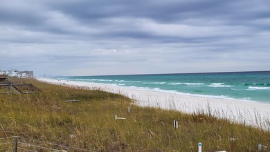 1.25 acres located in beautiful Inlet Beach just east of - photo 40