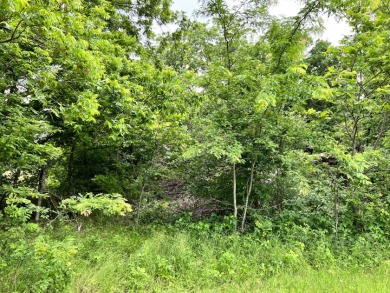 Great 1 acre lot in gated subdivision on Richland Chambers Lake! - photo 2