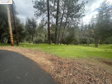 Lake Lot For Sale in Groveland, California