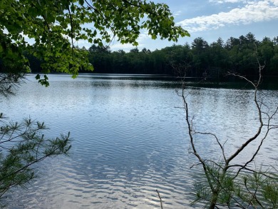 (private lake) Acreage For Sale in Lac Du Flambeau Wisconsin