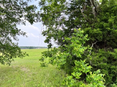 Great 1 acre lot in gated subdivision on Richland Chambers Lake! - photo 4