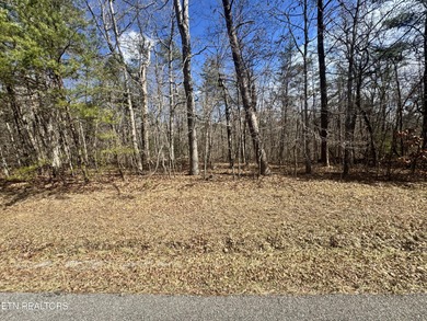 This lot in Cumberland Lakes is conveniently located between - photo 2