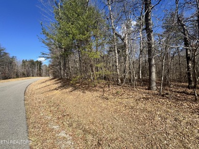 This lot in Cumberland Lakes is conveniently located between - photo 4