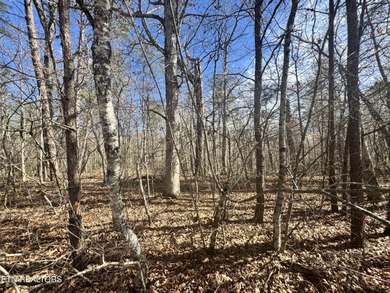 This lot in Cumberland Lakes is conveniently located between - photo 6