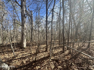 This lot in Cumberland Lakes is conveniently located between - photo 7