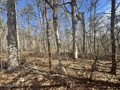 This lot in Cumberland Lakes is conveniently located between - photo 8