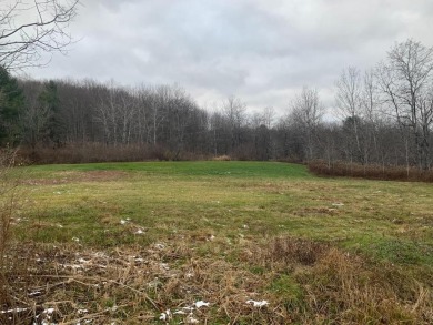 (private lake, pond, creek) Acreage For Sale in Mount Upton New York