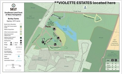 Introducing Violette Estates ~ This BRAND NEW 3 bedroom, 2.5 - photo 48