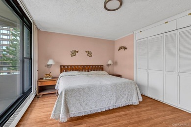 Bright and airy open concept layout with stunning wall of - photo 8