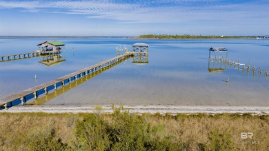 (private lake, pond, coastal) Lot For Sale in Orange Beach Alabama