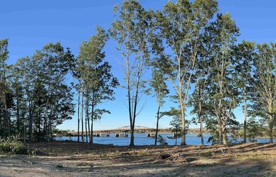 Seacoast NH Luxury waterfront lot with Deep-Water Dock Option - photo 8
