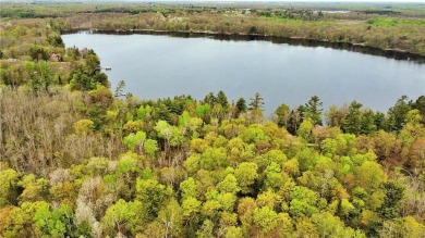 Kenney Lake Lot For Sale in Garrison Minnesota