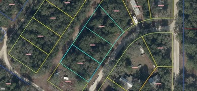 A 3 ADJACENT VACANT LOTS IN WILLISTON IN LEVY - photo 1
