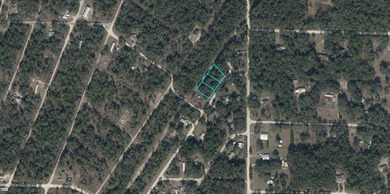 A 3 ADJACENT VACANT LOTS IN WILLISTON IN LEVY - photo 2