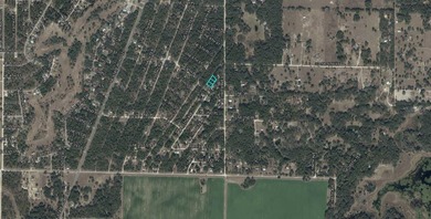 A 3 ADJACENT VACANT LOTS IN WILLISTON IN LEVY - photo 3