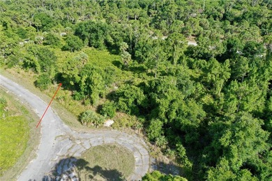 Great oversized lot with 10,246 sq ft or .24 acres and 81 ft of - photo 6