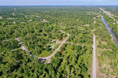 Great oversized lot with 10,246 sq ft or .24 acres and 81 ft of - photo 7