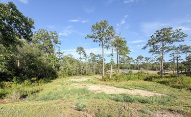 Are you thinking about building in Swansboro? This 1.24 acre - photo 3