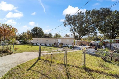 Lake Home For Sale in Belleview, Florida