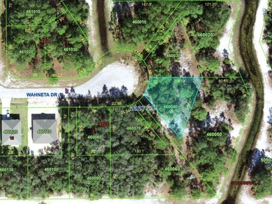 Lake Marion - Polk County Lot For Sale in Kissimmee Florida