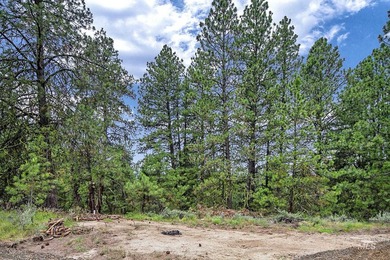 Looking for an exceptional mountain setting to create lasting - photo 3