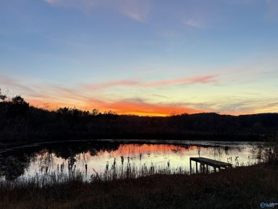 Lake Acreage For Sale in Guntersville, Alabama